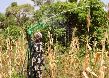 Irrigation