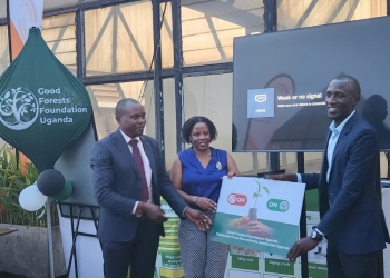 Good Forest Foundation Uganda, newly independent from Fairventures Worldwide, details its strategy for sustained tree planting, integrating cash crops like cocoa and coffee for farmer income.